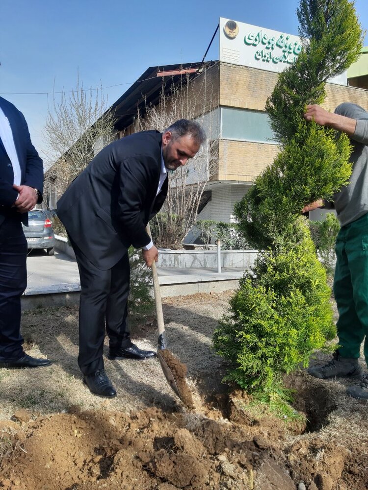 عکس | انوشیروانی رئیس شد و درخت غرس کرد