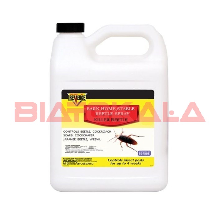 بهترین سم برای سوسک چیست؟