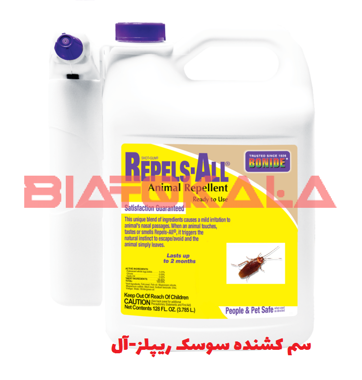 بهترین سم برای سوسک چیست؟