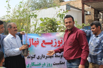 توزیع رایگان نهال توسط شهرداری گتوند به مناسبت فرا رسیدن روز درختکاری