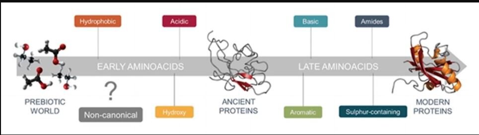 این اکسیر جادویی حیات زمینی را ساخته/ کشف راز بزرگی که می تواند دلیل وجود آدم فضاییها باشد