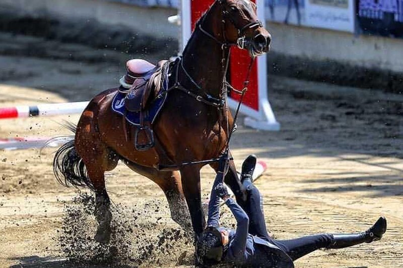 ببینید | تصادف شاخ به شاخ و عجیب دو اسب در مسابقات سوارکاری