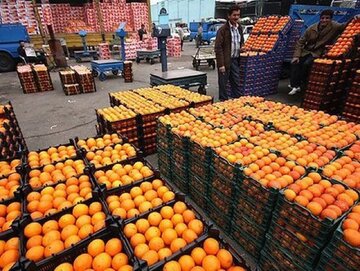  جایگاه دوم کشوری استان چهارمحال و بختیاری در تامین میوه تنظیم بازار شب عید