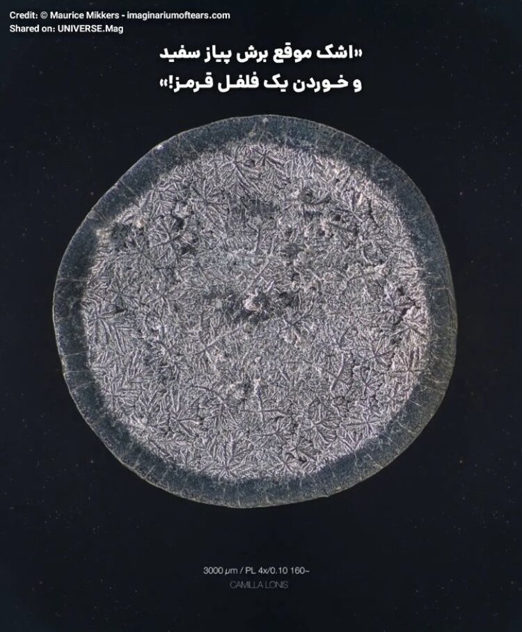 تفاوت عجیب میکروسکوپی اشک بریدن پیاز و شکستهای عاطفی/ عکس