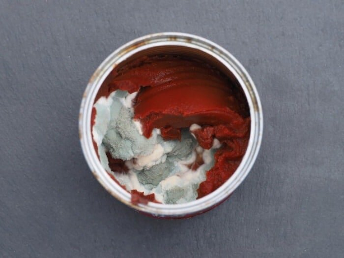 آیا کپکها خطرناک هستند؟/ نکاتی که باید در مورد کپک رب، آبغوره و ترشی بدانید