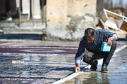 تصاویر | ازتن به آب زدن قالی‌ها تا رونق قالیشویی‌ها در همدان