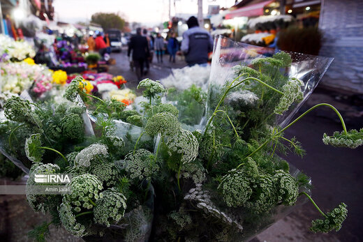 بازار بهاری گل و گیاه تهران
