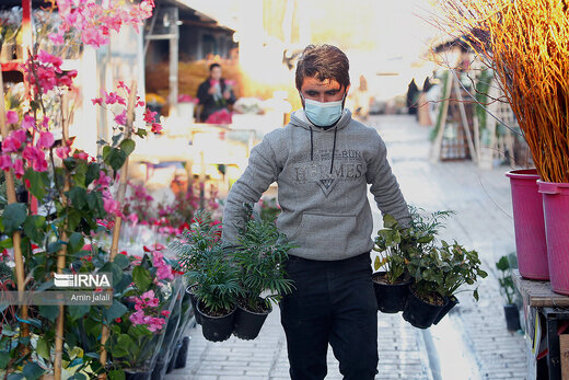 بازار بهاری گل و گیاه تهران