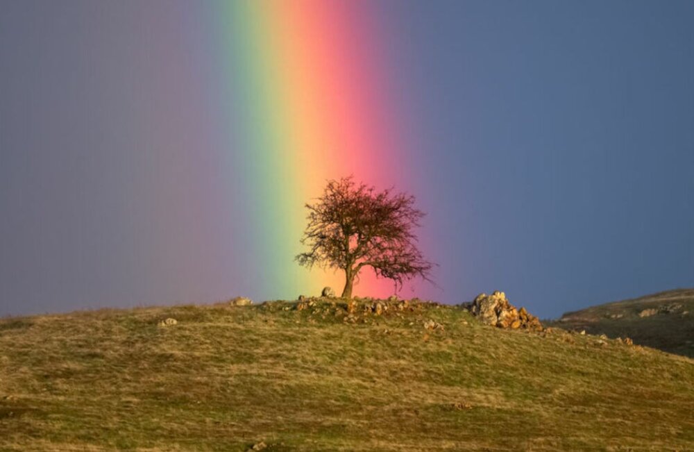 انتهای رنگینکمان به کجا میرسد؟ / عکس