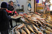 بازار ماهی جنب و جوش ندارد،درست مثل بازار گوشت