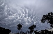 ببینید | وحشت مردم سیدنی از دیدن ابر ترسناک!