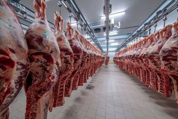 عکس| تهران اشغال شد، گوشت گران!