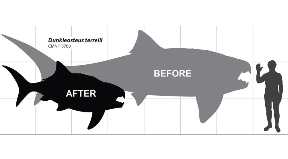 انگار از فیلمهای ترسناک بیرون آمده / کشف تازه درباره هیولای باستانی / عکس