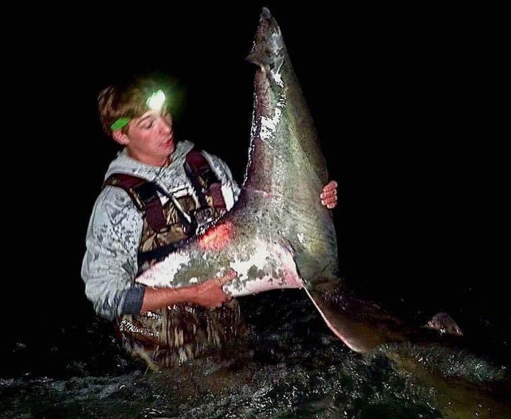 عکس| شکار کوسه سفید ۳.۵ متری