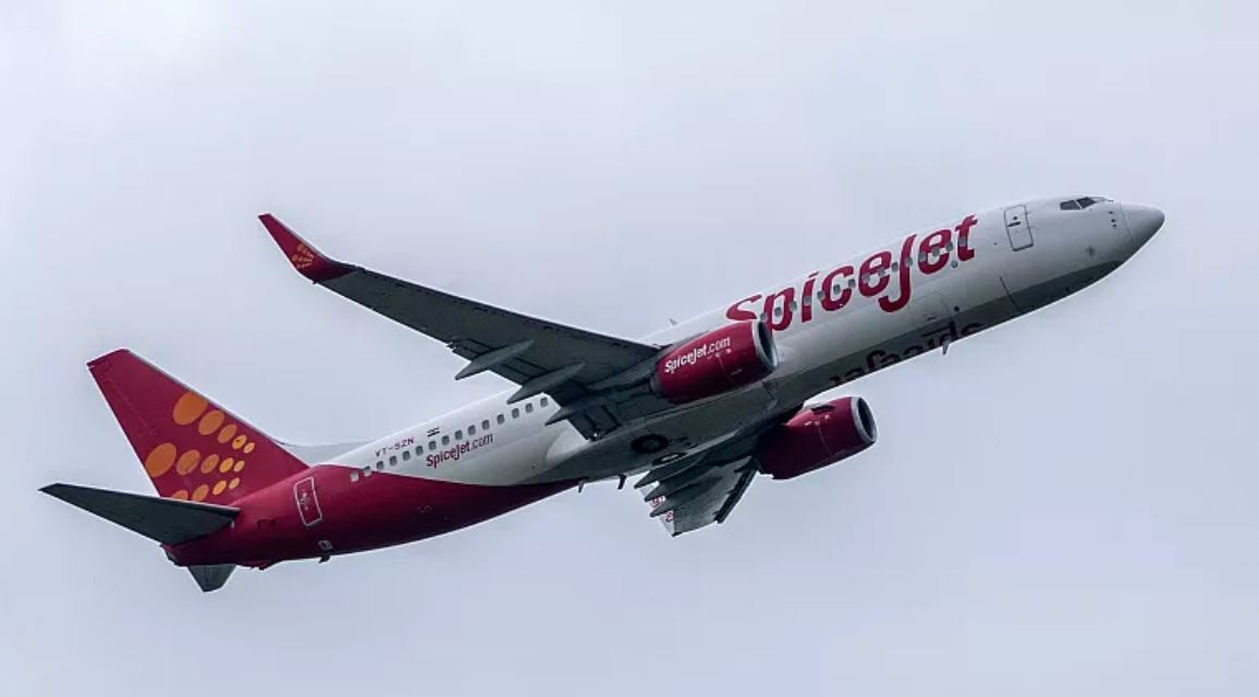 دو خلبان هندی با انتشار این عکس از کار تعلیق شدند/ عکس