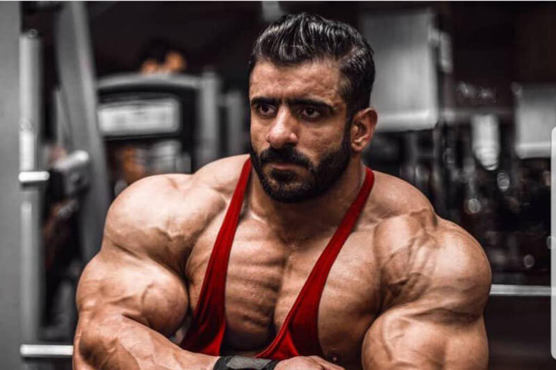 ببینید | جمله جنجالی گرگ ایرانی روی آنتن زنده: هرکسی می‌تواند رئیس جمهور شود اما...