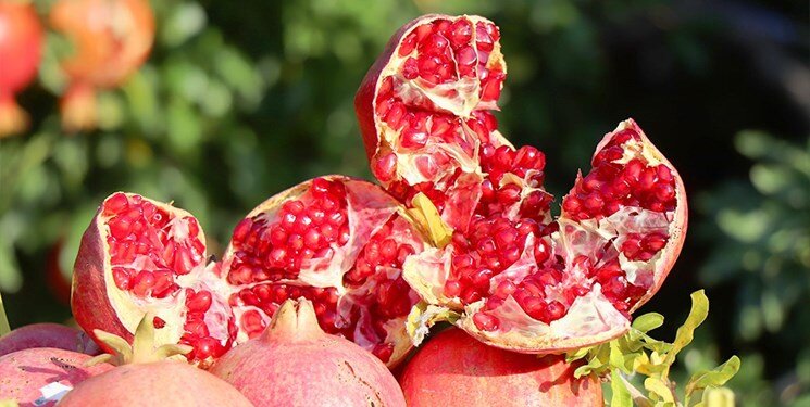 خواص معجزهآسای این میوه بهشتی برای سلامتی 3