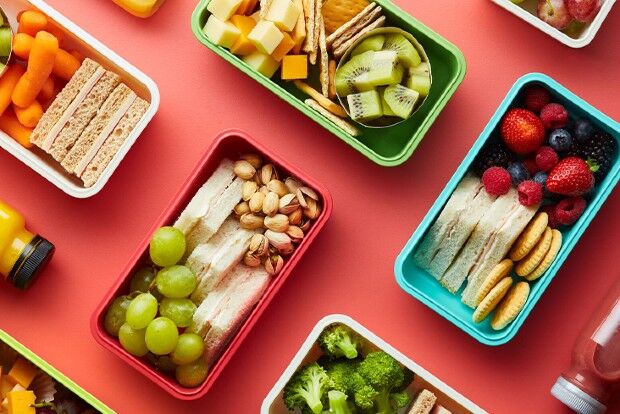 توصیههای تغذیهای و دارویی برای سفر