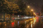 ببینید | تصاویری جذاب از بارش باران بهاری در تهران