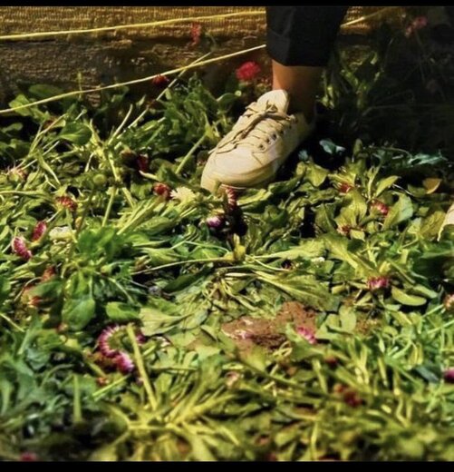 عکسهایی دیدم از بلایی که دیشب بر سر حافظیه آوردند