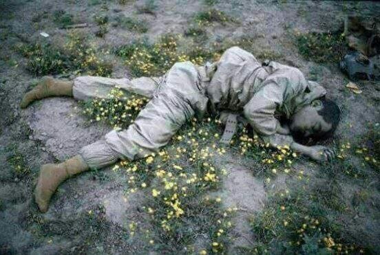 عکس | پیکر سرباز ایرانی در میان گل‌ها؛ دو روز مانده به نوروز سال ۱۳۶۵