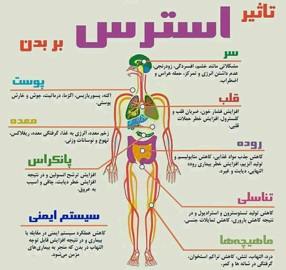 اینفوگرافیک | استرس اینگونه بدن را نابود می‌کند!