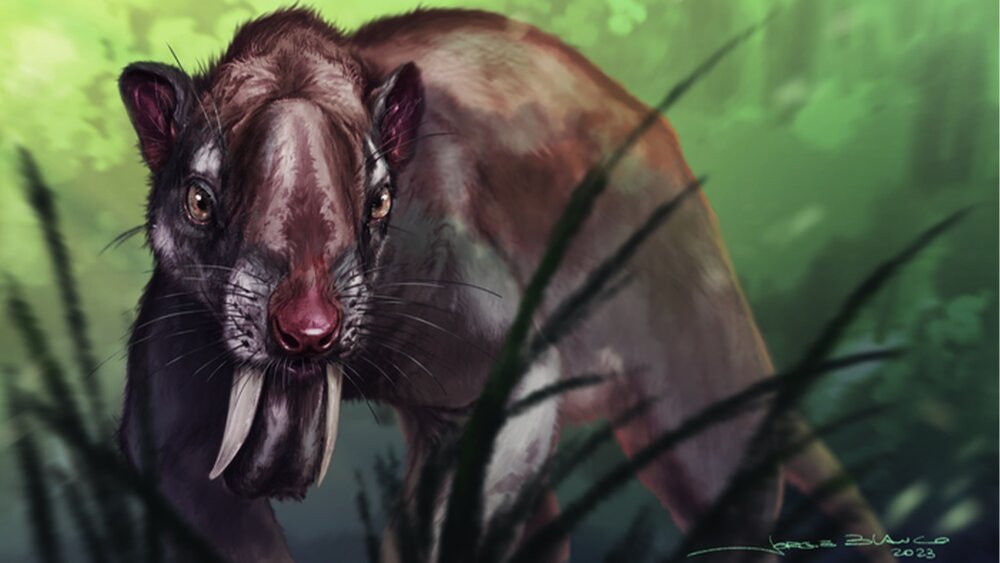 عکس | وحشتناک ترین شکارچی شب :کیسه دار دندان خنجری !