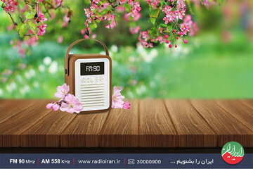 جهان در سالی که گذشت از نگاه رادیو