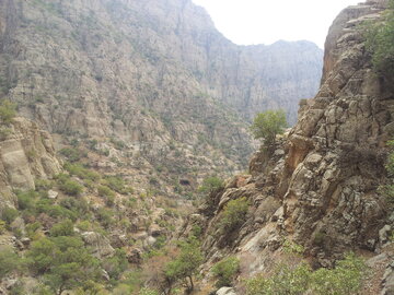 گشت و کنترل محیط بانان از ارتفاعات سفید کوه خرمآباد  گشت و کنترل محیط بانان از ارتفاعات سفید کوه خرمآباد