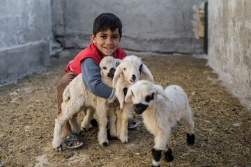 «قهرمانان معمولی» به تلویزیون می‌آیند