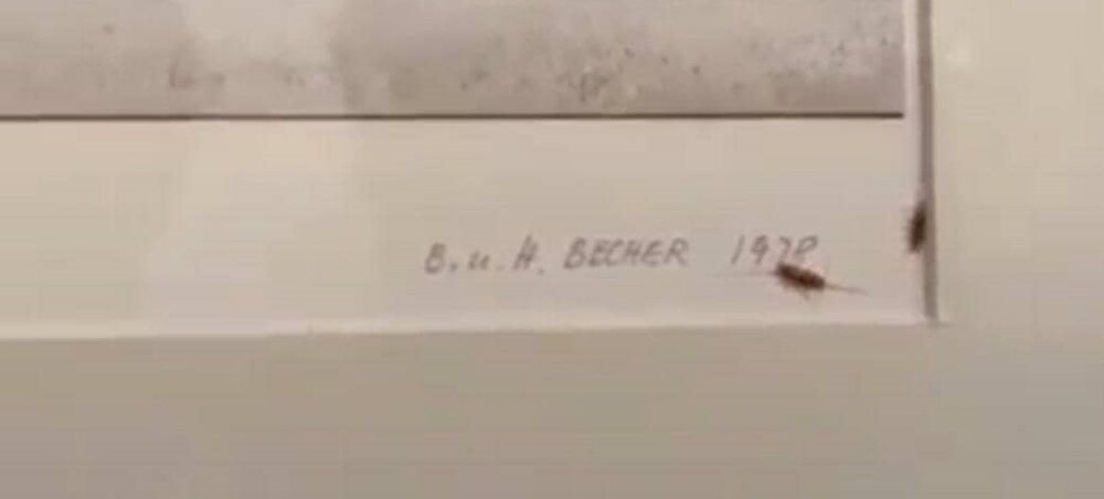 از  رنگ خون بر در یک گالری تا تعطیلی ششماهه