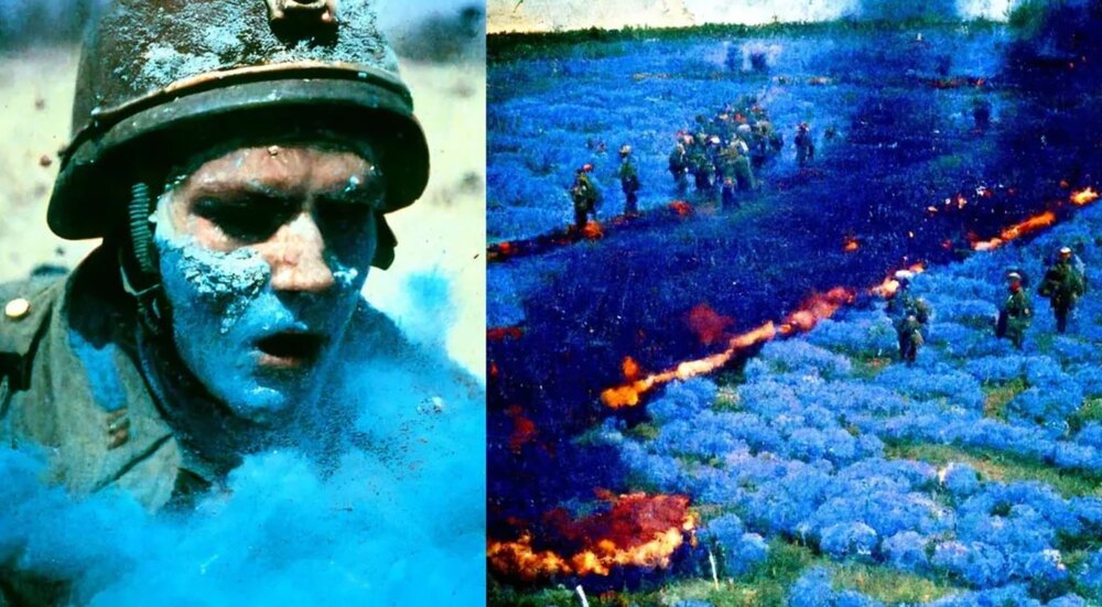 جعل تاریخ در روز روشن/ دیگر به دیده اعتمادی نیست! / عکس