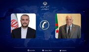 وزيرا خارجية إيران والجزائر يشددان على وقف الجرائم الصهيونية في غزة