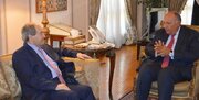 پس از سال‌ها؛ وزیر خارجه سوریه در قاهره با همتای مصری دیدار کرد