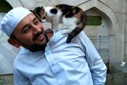 ببینید | رفتار بامزه یک گربه روی دوش امام جماعت هنگام نماز در ترکیه