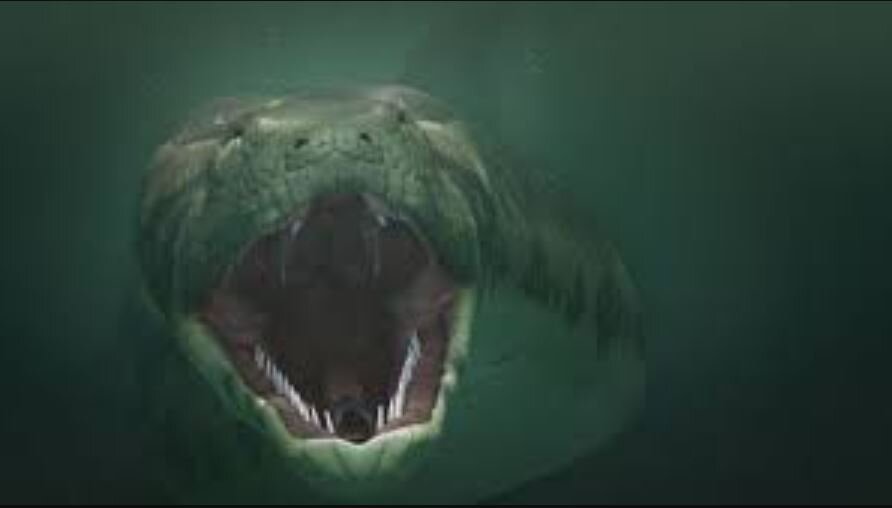 عکس | یک مار به اندازه اتوبوس/ خبری که پربازدید شد!