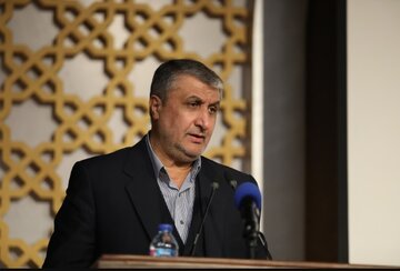 رئيس منظمة الطاقة الذرية الإيرانية يصل إلى فيينا رئيس منظمة الطاقة الذرية الإيرانية يصل إلى فيينا