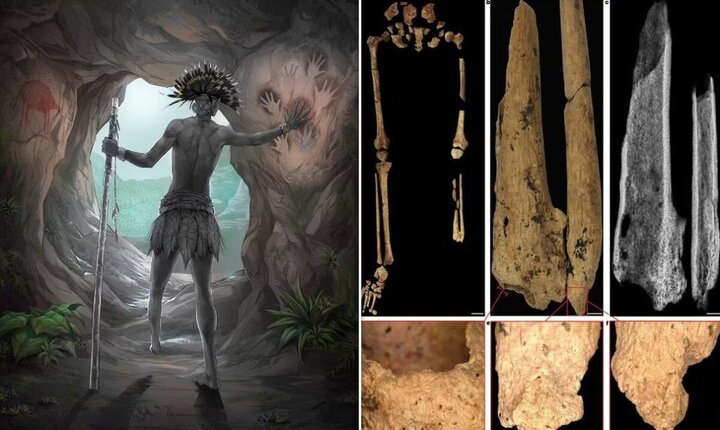 کشف راز باورنکردنی این اسکلت نادر ۳۱ هزار ساله / عکس