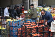 پرتقال تامسون ارزان ترین میوه بازار کشور + جدول قیمت ها