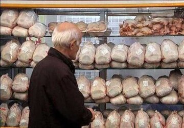   قیمت عجیب مرغ دربازار / توزیع گسترده مرغ منجمد آغاز شد