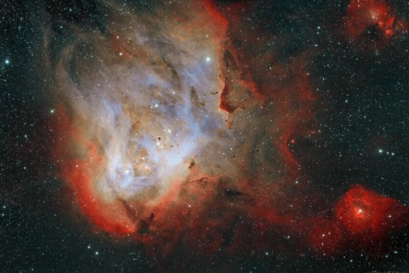 زیبایی شگفتانگیز مرغ دونده در آسمان/ عکس