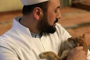 ببینید | ادامه داستان امام جماعت و گربه؛ این بار زایمان یک گربه در منبر مسجد!