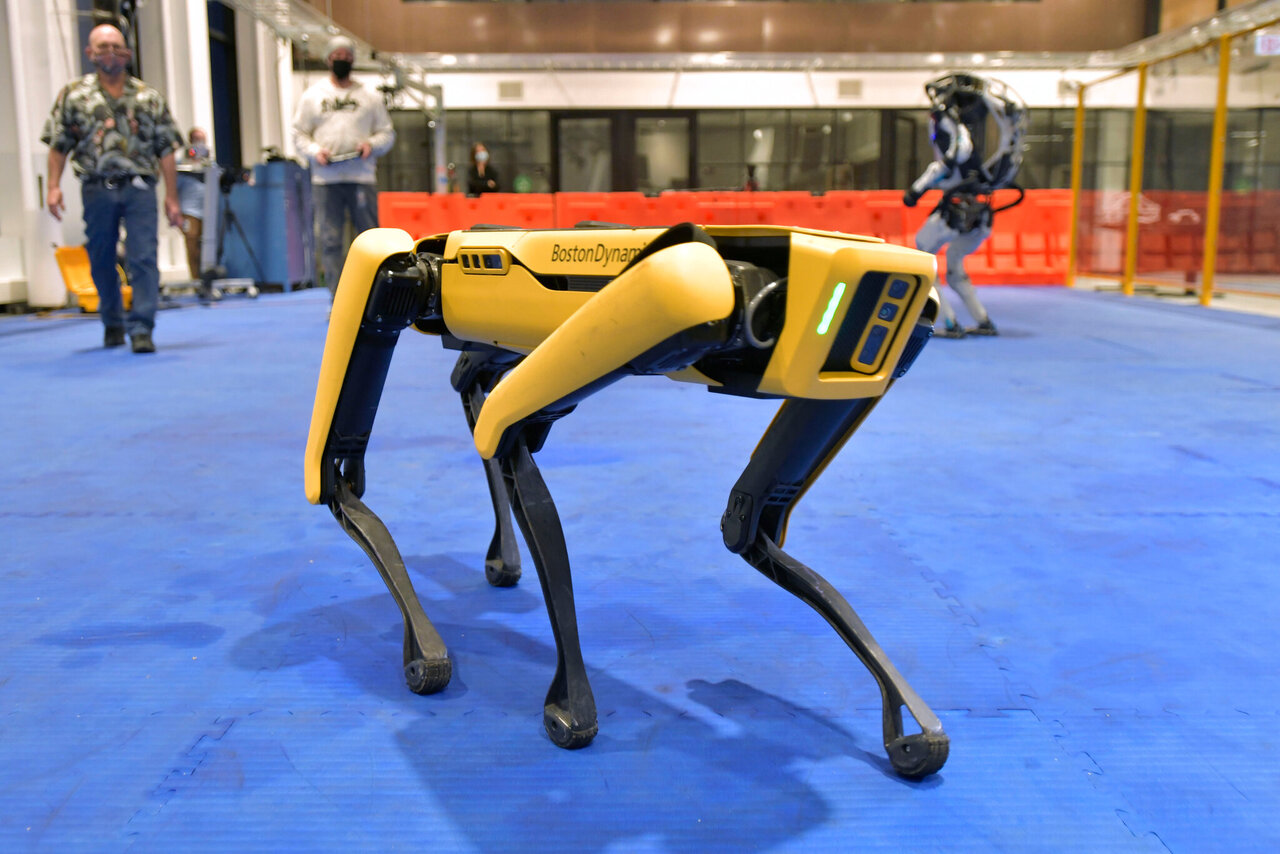 پیوستن سگ روباتی به نیروی پلیس/ عکس