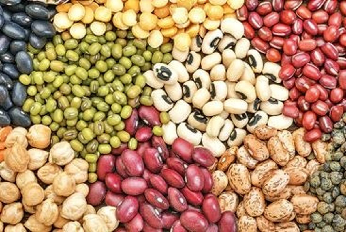 اگر میخواهید لاغری بدون بازگشت داشته باشید، این راهکار مهم را بخوانید