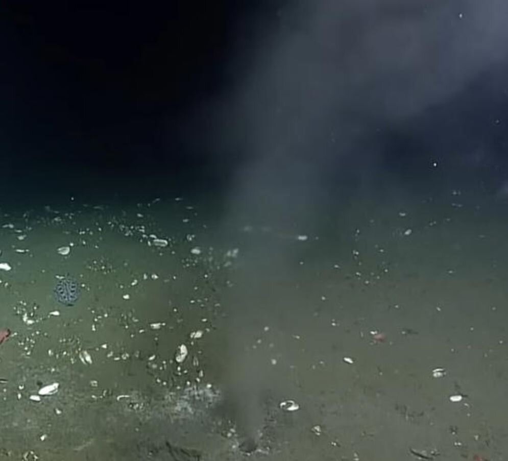 نشانه هشداردهنده وقوع یک زلزله ویرانگر در آمریکا / عکس