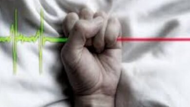 افروغ: هیچگاه نخواستم قدرت یکدست شود/هنوز احمدی نژاد سوگند ریاستجمهوری یاد نکرده بود، احساس خطر کردم