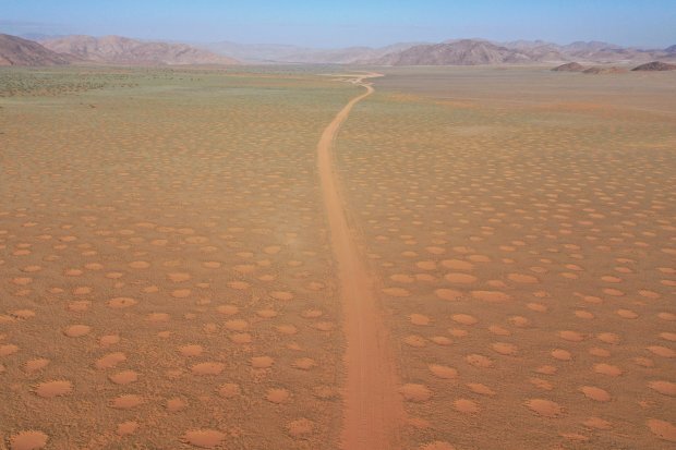 حل معمای دایرههای جنی با کمک دانش باستانی بومیان / عکس