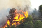 ببینید |  آتش‌سوزی مهیب و گسترده در پارک ملی آلتوتاجوی اسپانیا