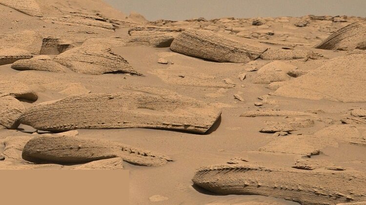 شکار استخوان‌های اژدها در مریخ!/ عکس