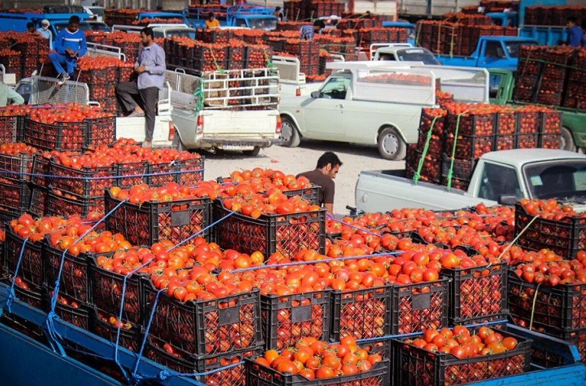 - مسوولان قول دادند: تب بازار گوجه فرنگی ۱۰ روز دیگر می‌خوابد